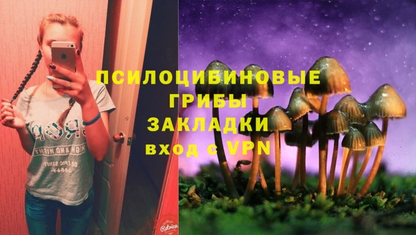 прущий лед Абаза