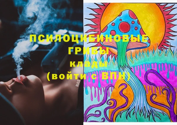 дживик Абинск