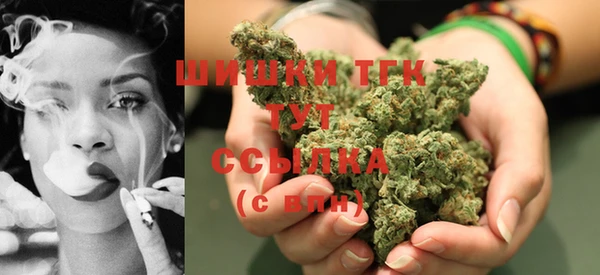 прущий лед Абаза